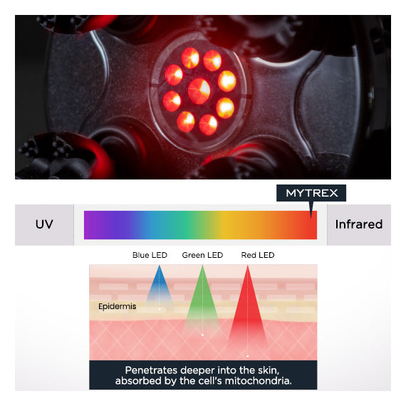 EMS-HEAD-SPA-PRO-red-light-wavelength