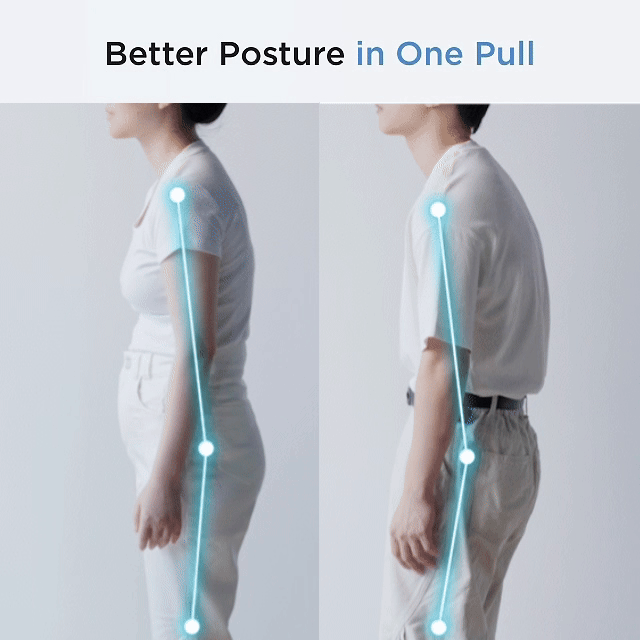 Rakuno Lumbar Support Belt