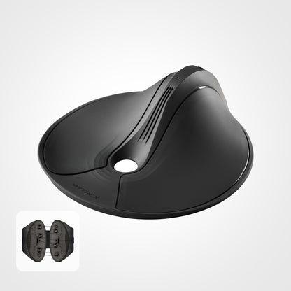 Aqua Qutto & Rakuno Lumbar Set