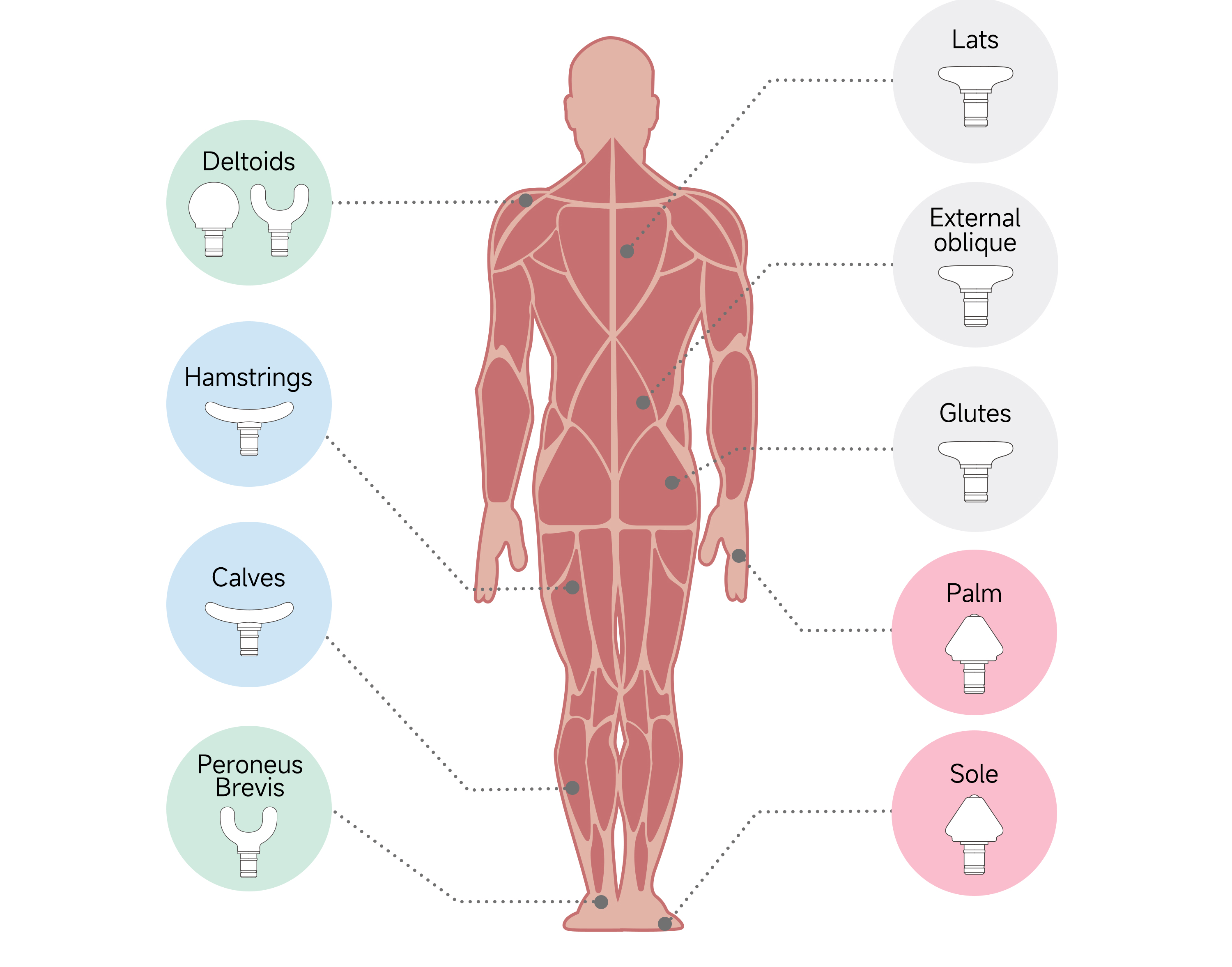 Diagram-of-Effective-Muscle-Massage-Points-Back-REBIVE-AIR-Product-Page