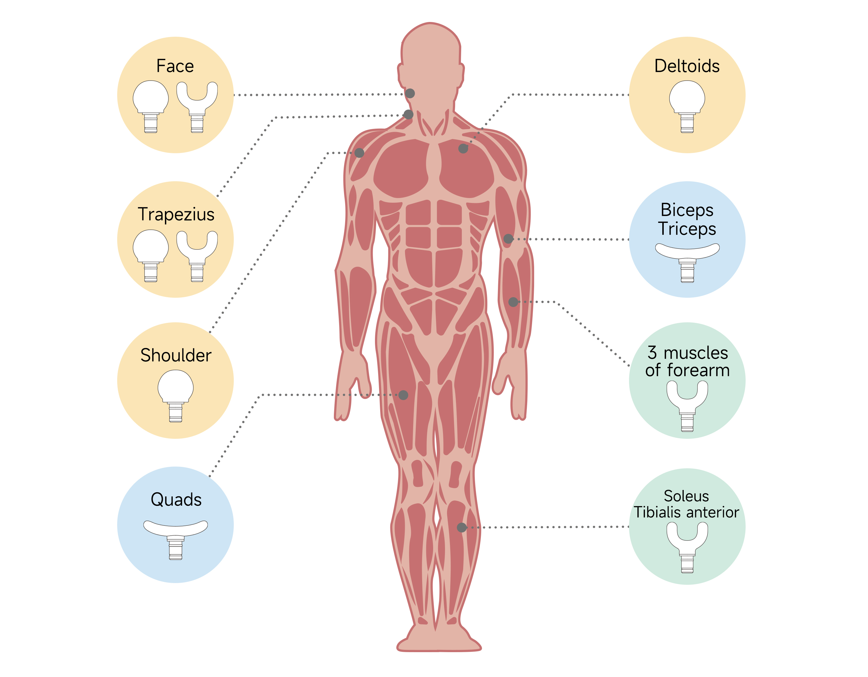 Diagram-of-Effective-Muscle-Massage-Points-Front-REBIVE-AIR-Product-Page