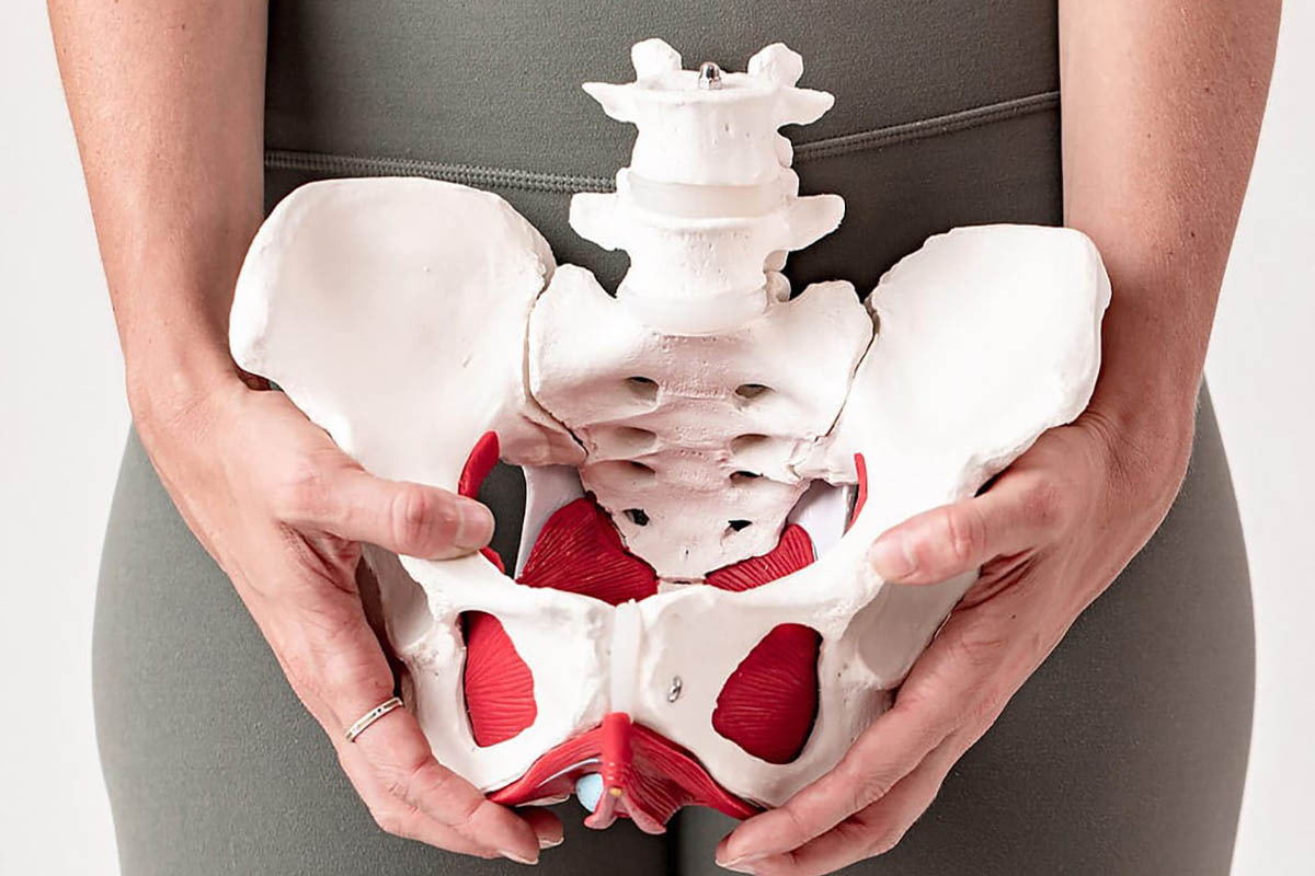 What-is-Pelvic-Floor-Physiotherapy-Benefits-How-It-Works